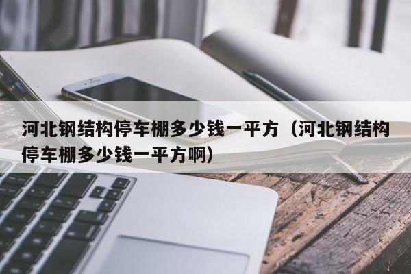 河北钢结构停车棚多少钱一平方（河北钢结构停车棚多少钱一平方啊）